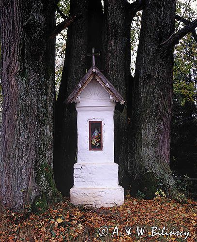kapliczka w Strzebowiskach, Bieszczady