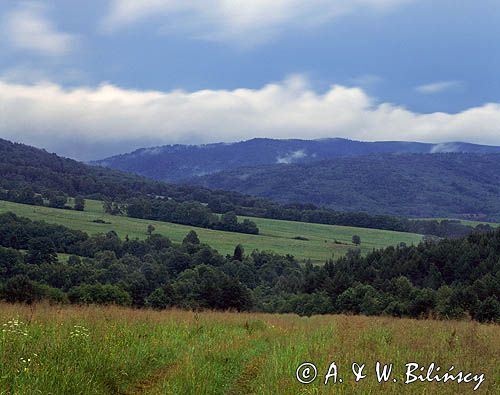 Beskid Niski Polany Surowiczne