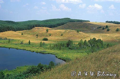 Suwalski Park Krajobrazowy, jeziorko polodowcowe, ozy polodowcowe