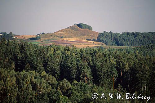 Suwalski Park Krajobrazowy Cisowa Góra