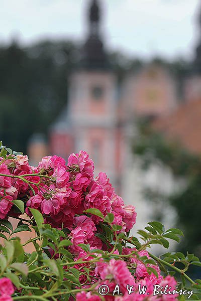 Sanktuarium Święta Lipka