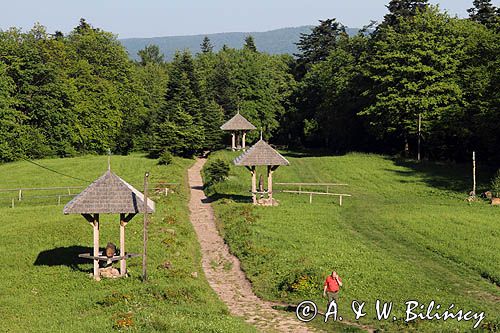 stacje drogi krzyżowej na szlaku z Nowej Słupi do Świetego Krzyża, Łysa Góra, Łysogóry, Góry Świętokrzyskie, Świętokrzyski Park Narodowy, kielecczyzna