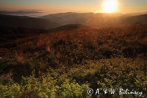 Świt na Połoninie Wetlińskiej, podczas pleneru Bieszczady dniem i nocą,26-28.09.2014