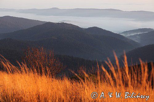 Świt, Widok z Połoniny Wetlińskiej, Bieszczady,