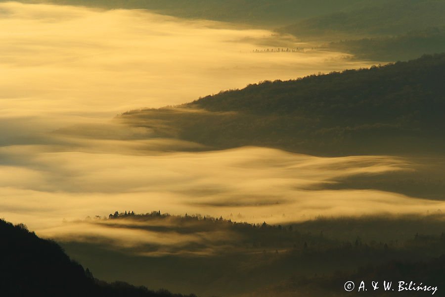 Inwersja, mgły w dolinach, widok z Połoniny Wetlińskiej, Bieszczady