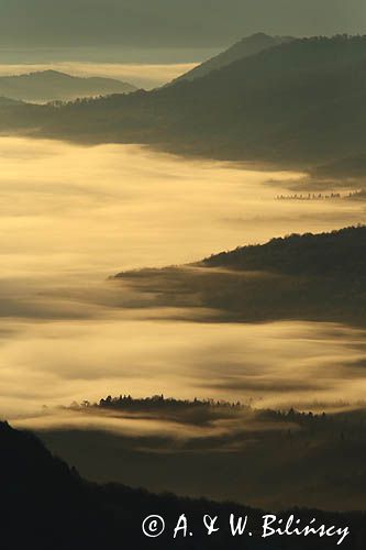 Inwersja, mgły w dolinach, widok z Połoniny Wetlińskiej, Bieszczady