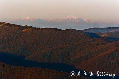 Tatry, widok z Połoniny Wetlińskiej, Bieszczady