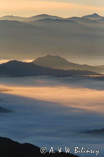 Inwersja, mgły w dolinach, widok z Połoniny Wetlińskiej, Bieszczady