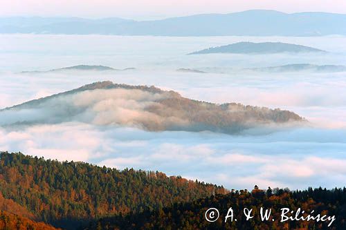 Inwersja, mgły w dolinach, widok z Połoniny Wetlińskiej, Bieszczady