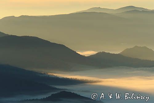 Inwersja, mgły w dolinach, widok z Połoniny Wetlińskiej, Bieszczady