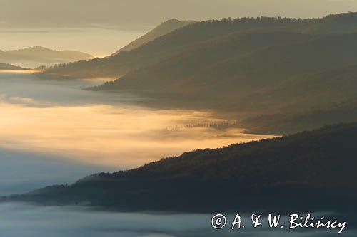 Inwersja, mgły w dolinach, widok z Połoniny Wetlińskiej, Bieszczady