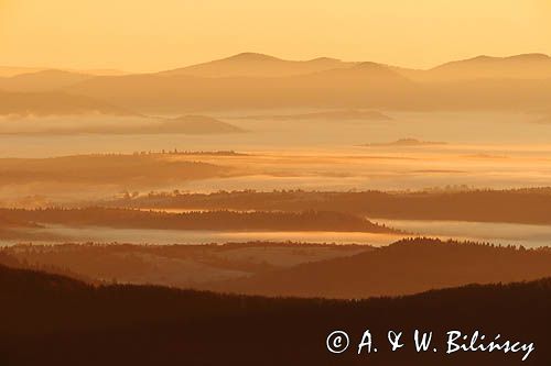 Inwersja, mgły w dolinach, widok z Połoniny Wetlińskiej, Bieszczady