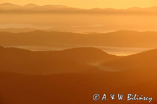 Inwersja, mgły w dolinach, widok z Połoniny Wetlińskiej, Bieszczady