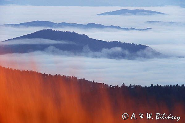 Inwersja, mgły w dolinach, widok z Połoniny Wetlińskiej, Bieszczady