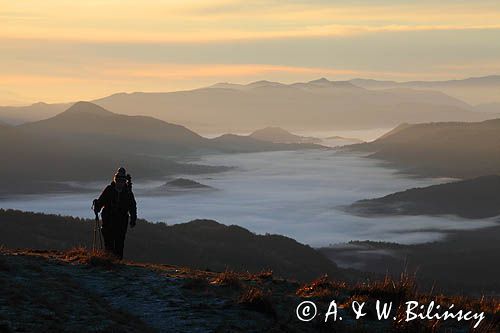 Inwersja, mgły w dolinach, widok z Połoniny Wetlińskiej, Bieszczady