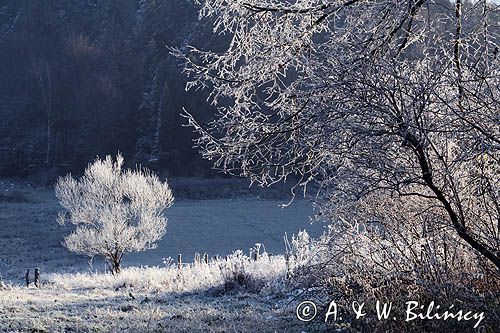 Mroźny poranek pod Jawornikami, Bieszczady