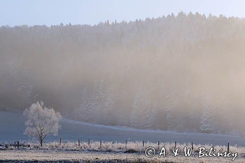 Mroźny poranek pod Jawornikami, Bieszczady