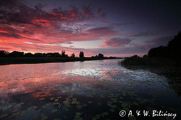 Rzeka Szkarpawa, Żuławy Wiślane