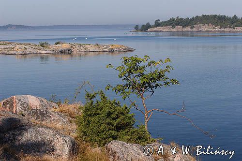 archipelag przy wyspie Asskaren koło Harsteny, Szkiery Szwedzkie, Szwecja