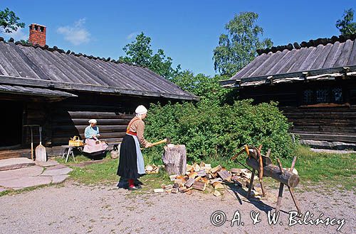 Sztokholm, rąbanie drewna w zagrodzie w Skansenie, Szwecja