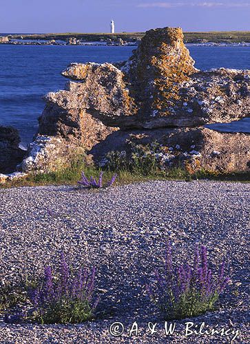Szwecja, południowe wybrzeże wyspy Gotland