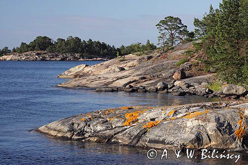 Lokholmen, szkiery koło Sztokholmu, Szwecja Lokholmen, Stockholm skierries, Stockholm Archipelago, Sweden