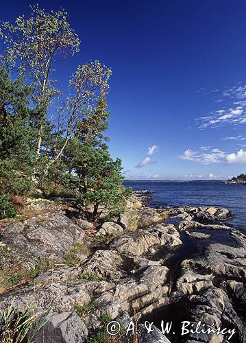 Zatoka Skutviken na wyspie Rano, szkiery szwedzkie, okolice Nynashamn, archipelag sztokholmski, Szwecja