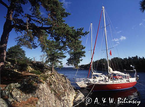 Zatoka Skutviken na wyspie Rano, okolice Nynashamn, szkiery szwedzkie, archipelag sztokholmski, Szwecja