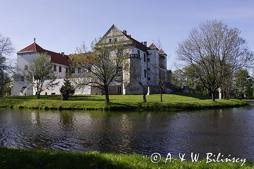 Szydłowiec, zamek