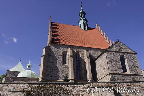 Szydłowiec, kościół Farny św. Zygmunta