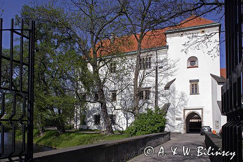 Szydłowiec, zamek