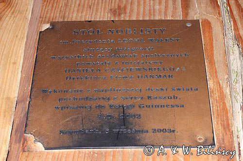 Szymbark, skansen, najdłuższa deska świata, Księga Rekordów Guinessa, Kaszuby