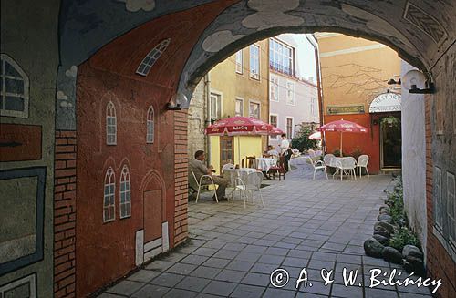 Estonia, Tallinn, restaurant Wirulane, Pikk street, Old Town