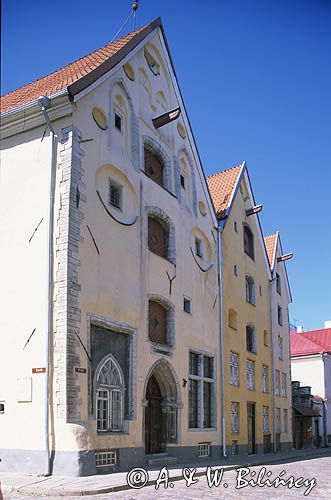 Tallin. Trzy Siostry