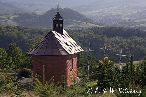 Tarnawa Górna kapliczka Bieszczady