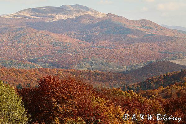 Tarnica, Bieszczady