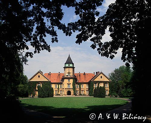 Tarnobrzeg pałac Dzików, pałac Tarnowskich