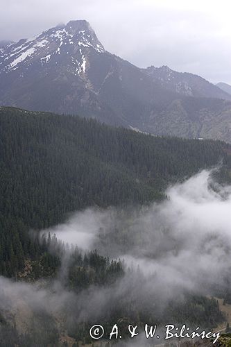 mgła w Dolinie Jaworzynka i Giewont, Tatrzański Park Narodowy