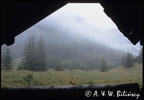 Dolina Jaworzynka, Tatry