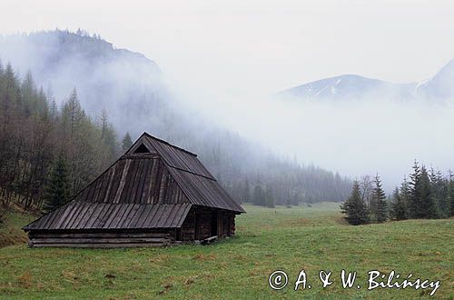 Dolina Jaworzynka, Tatry