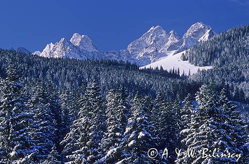 Widok z Polany Zgorzelisko, Tatry, Polska