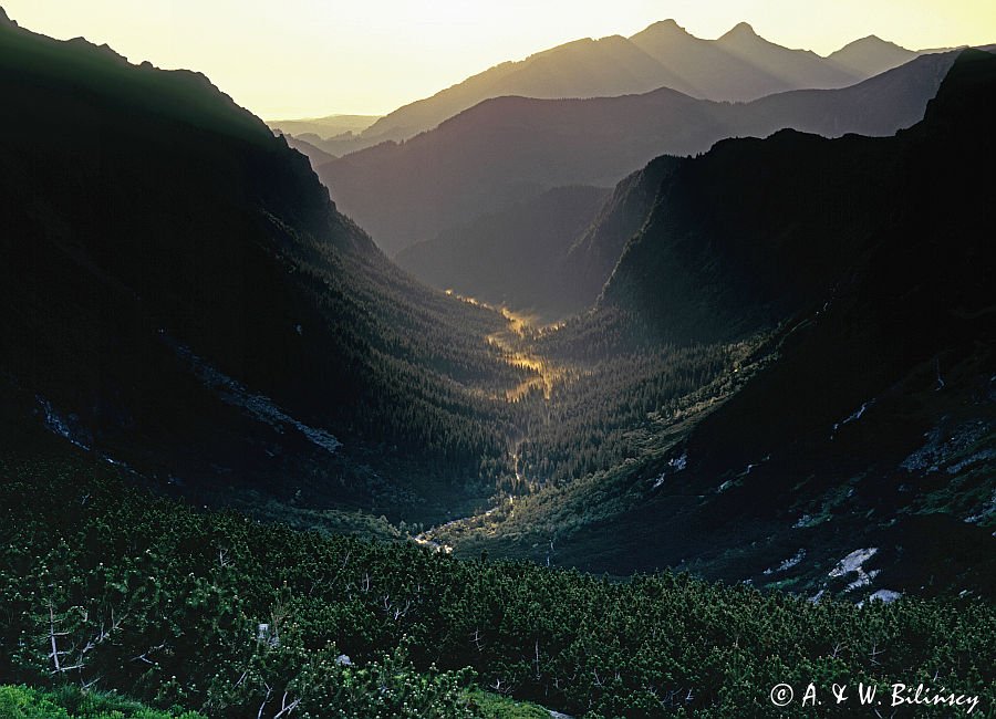 Dolina Roztoki, Tatry