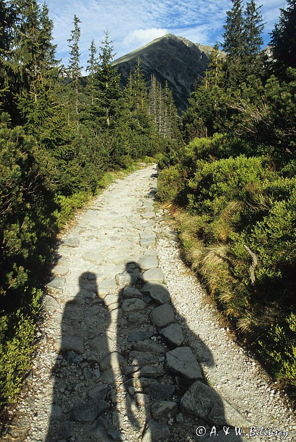 na szlaku w Tatrach, cienie ludzi na szlaku, na niebieskim szlaku do Czarnego Stawu Gąsienicowego