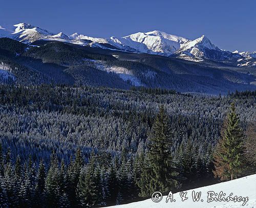 Panorama Tatry z Głodówki