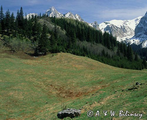 Równienki i Giewont