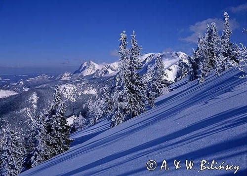 Tatry, Panorama Tatr z Giewontem z Bobrowca