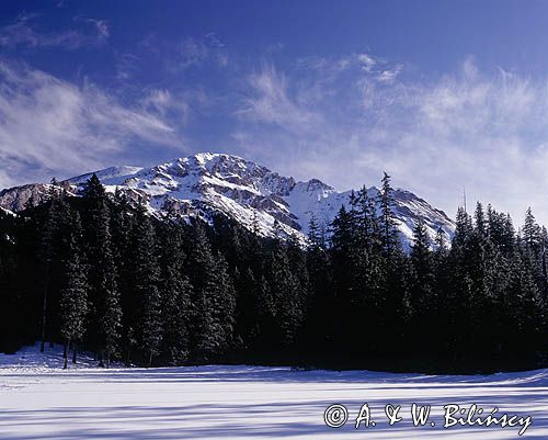 Smerczyński Staw, Tatry