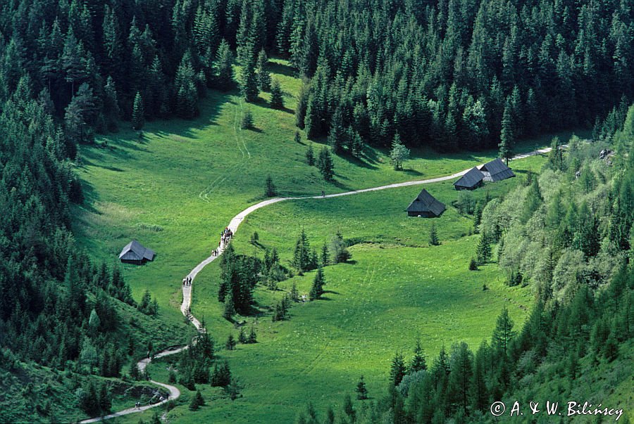 Dolina Jaworzynka, Tatry