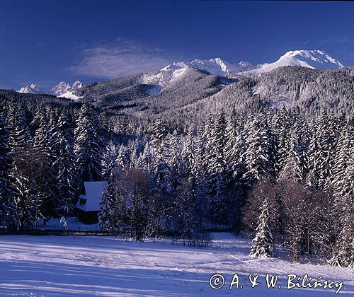 Tatry, Brzanówka