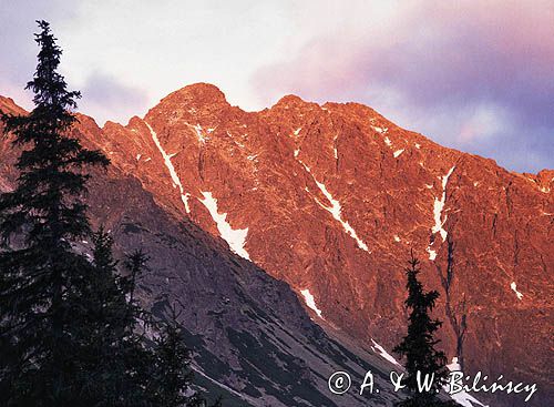 Tatry, widok na Granaty